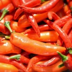 Chile serrano: cómo cultivar este picante en tu jardín