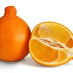 Citrus x Tangelo: Descubre el Sabor de este Cítrico Exótico