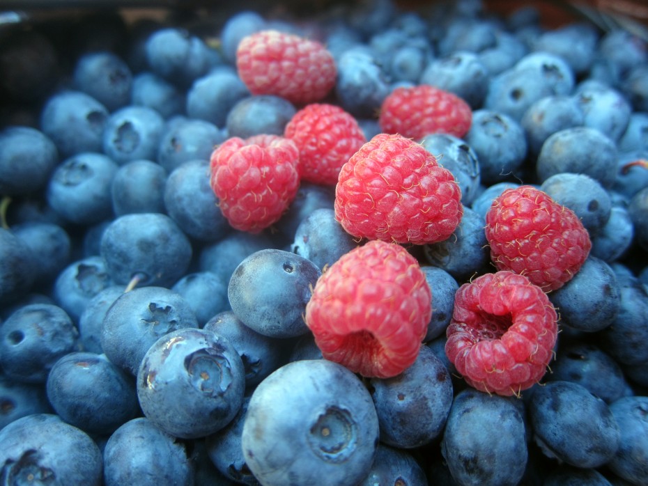Cómo cultivar frutos del bosque en un jardín