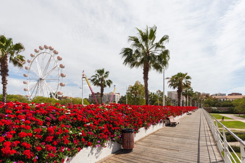 Significado de las flores
