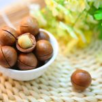 Es posible el cultivo de nuez de macadamia en España