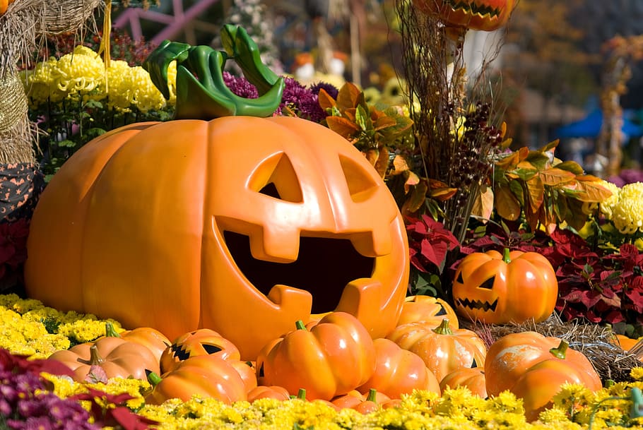 Plantas de Halloween